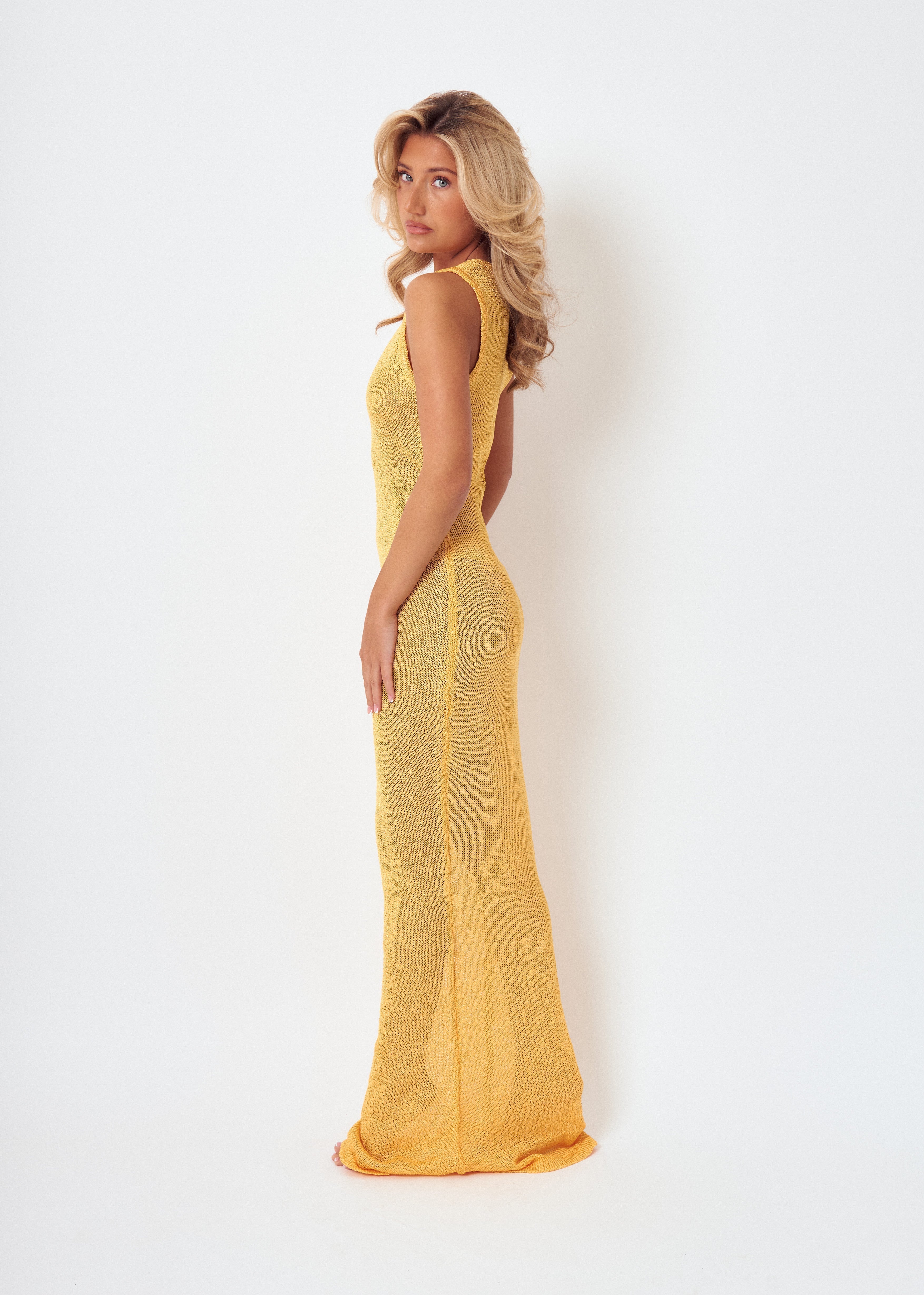 Sienna Spice | Sparkle Maxi Dress